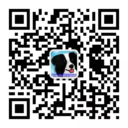 二维码11.jpg